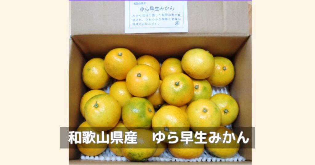 アイコムの株主優待で、和歌山県のゆら早生みかんをいただきました。