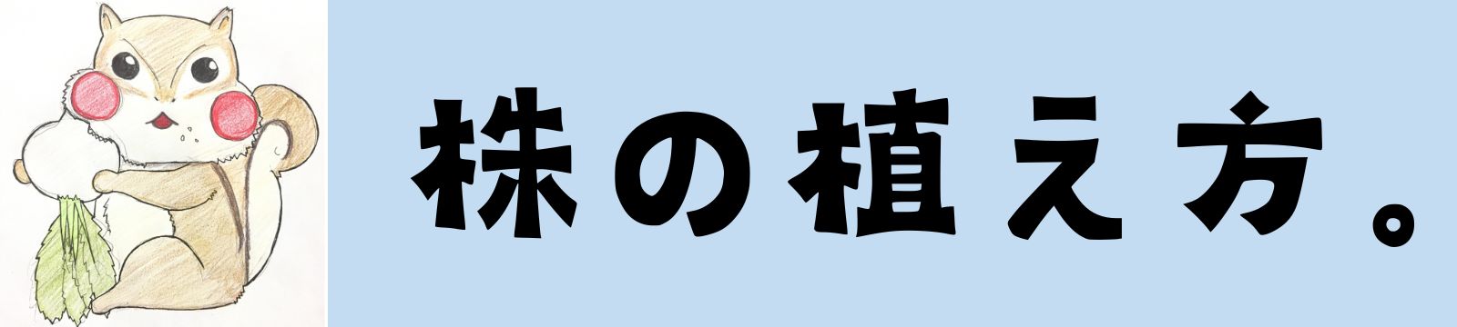 株の植え方。